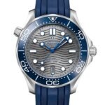 Omega Seamaster Men??s 42mm 210.32.42.20.06.001 Automatic Stainless Steel