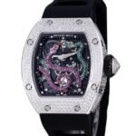 Richard Mille RM 026 Unisex Automatic Stainless Steel Rubber Band Transparent Dial