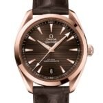 Omega Seamaster Men??s 220.53.41.21.13.001 41mm Stainless Steel Brown Dial
