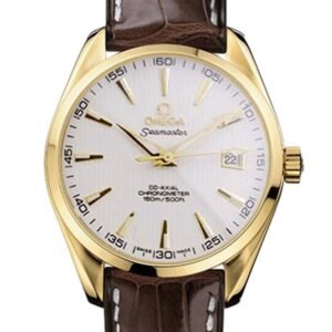 Omega Seamaster SeamasterWSL-004 Men 41mm Stainless Steel